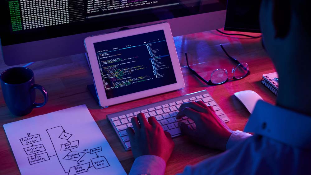 Hiring a WordPress Web Developer
